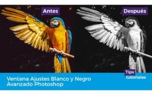 Capa de ajuste blanco y negro con control de 6 canales de color en Photoshop