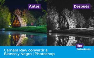 Camara Raw convertir a Blanco y Negro | Photoshop